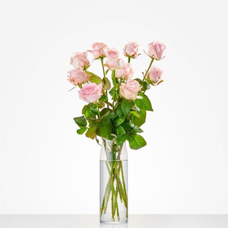 Losse roze rozen